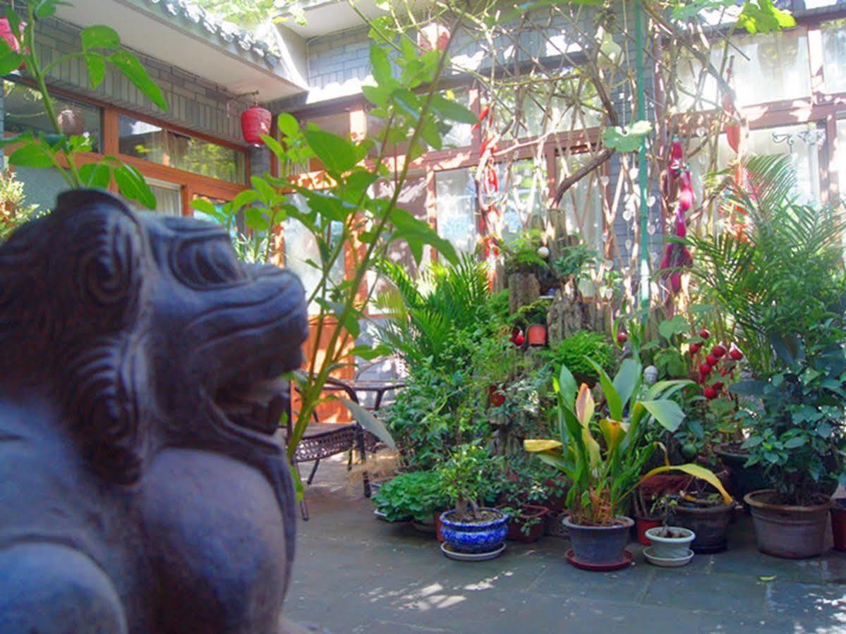 Beijing Courtyard View Hotel Exterior photo